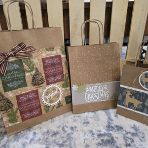 Set of 3 Kraft Gift Bags